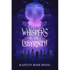 Whispers in the Labyrinth - Paperback