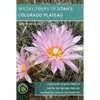 Wildflowers of Utah's Colorado Plateau - Paperback