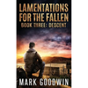 Descent: A post-apocalyptic tale of America's coming economic and societal collapse. - Paperback