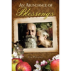 An Abundance of Blessings - Hardcover