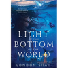 The Light at the Bottom of the World - Paperback