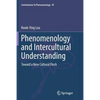 Phenomenology and Intercultural Understanding: Toward a New Cultural Flesh - Paperback