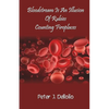 Bloodstream Is An Illusion Of Rubies Counting Fireplaces - Paperback