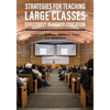 Strategies for Teaching Large Classes Effectively in Higher Education - Paperback