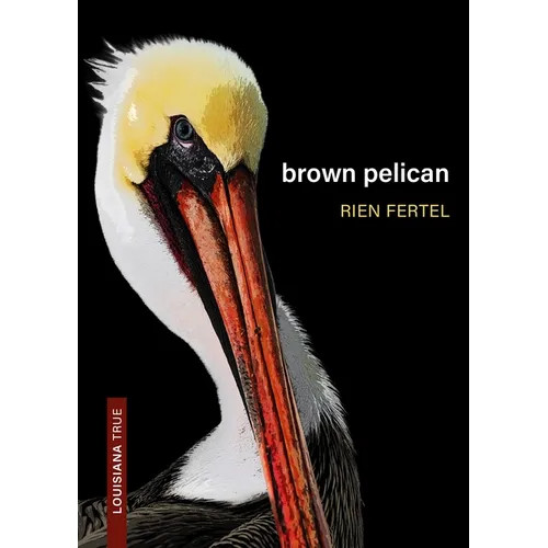 Brown Pelican - Paperback