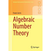Algebraic Number Theory - Paperback