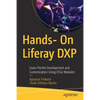 Hands- On Liferay Dxp: Learn Portlet Development and Customization Using Osgi Modules - Paperback