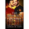 The Mistletoe Promise: An MM Nonshifter MPreg Christmas Romance - Paperback