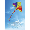 Coaching Excellence - Paperback