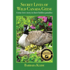 Secret Lives of Wild Canada Geese: A true love story in their hidden paradise - Hardcover