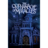The Orphanage Of Miracles - Paperback