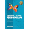Short Manual on the Big Topics in Psychotherapy: The Brain, The Body, and Attachment - Paperback