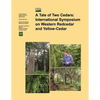 A Tale of Two Cedars: International Symposium on Western Redcedar and Yellow- Cedar - Paperback