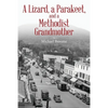 A Lizard, a Parakeet, and a Methodist Grandmother - Paperback