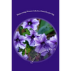 Empowering Women Called to Church Leadership - Paperback