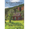 No Last Chance: Christian Fiction - Paperback