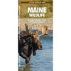 Maine Wildlife: A Folding Pocket Guide to Familiar Animals - Paperback