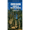 Oregon Trees & Wildflowers: A Folding Pocket Guide to Familiar Plants