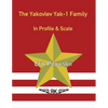 The Yakovlev Yak-1 Family In Profile & Scale - Paperback