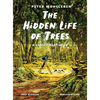 The Hidden Life of Trees: A Graphic Adaptation: (Of the International Bestseller) - Hardcover