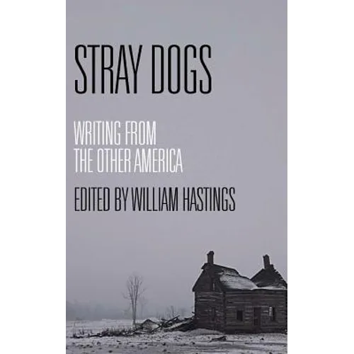 Stray Dogs: Writing from the Other America - Paperback