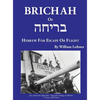 Brichah: (Hebrew for Escape or Flight) - Hardcover