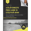 Călătorește prin lume și câștigă bani: Cum să construiești o afacere de un milion de dolari într-un an (Romani - Paperback