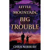 Little Mountain, Big Trouble - Paperback
