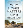 Why Homer Matters: A History - Paperback