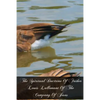 The Spiritual Doctrine Of Father Louis Lallemant Of The Company Of Jesus - Paperback