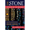 The Stone Rejected by the Builders: Some Uncommon Reflections on Social Justice - Paperback