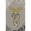 Tooth-Bird from Nextaro - Paperback