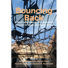 Bouncing Back: Critical reflections on the Resilience Concept in Japan and South Africa - Paperback