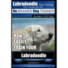 Labradoodle Training: Dog Training With the No BRAINER Dog TRAINER "We Make it That Easy" How to EASILY Train Your Labradoodle - Paperback
