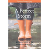 A Perfect Storm: Devotions During a Crisis - Paperback