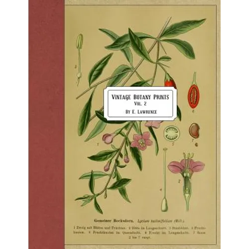 Vintage Botany Prints: Vol. 2 - Paperback