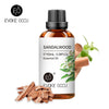 100ML Essential Oils - Webster.direct