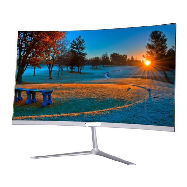 24"  Curved Screen Monitor