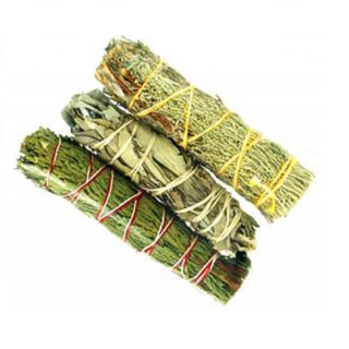 Cedar, White, Blue Sage Bundle 3"