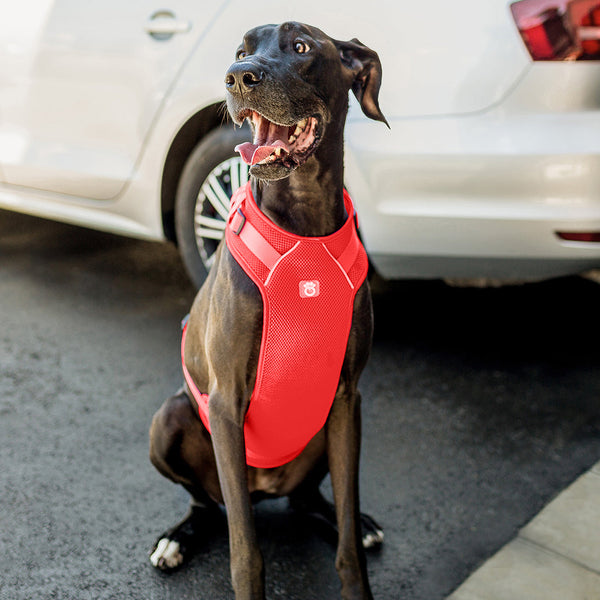 Travel Harness - Red