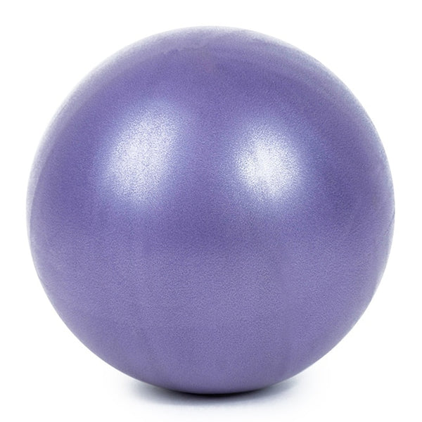 25cm 2 Pcs Sports Yoga Balls